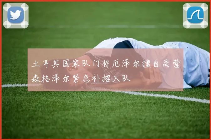 土耳其国家队门将厄泽尔擅自离营森格泽尔紧急补招入队