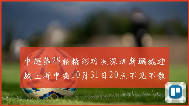 中超第29轮精彩对决深圳新鹏城迎战上海申花10月31日20点不见不散