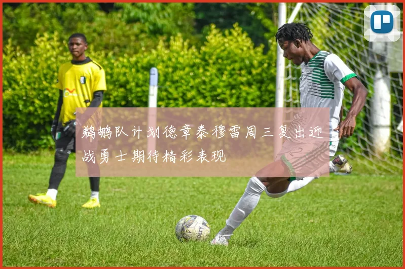 鹈鹕队计划德章泰穆雷周三复出迎战勇士期待精彩表现